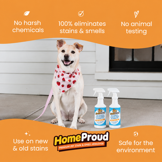 HomeProud Pet Stain & Odour Remover