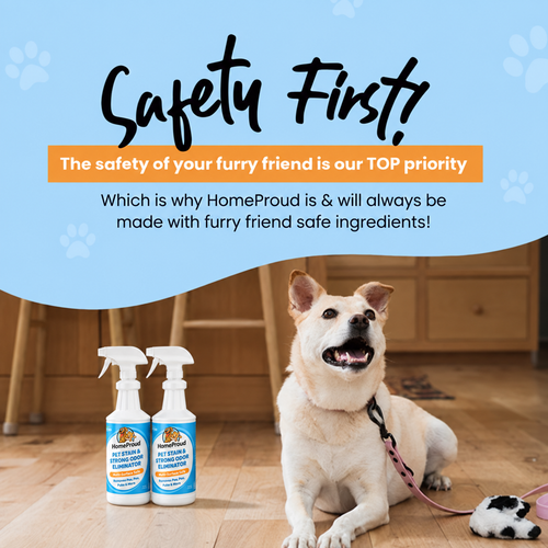 HomeProud Pet Stain & Odour Remover
